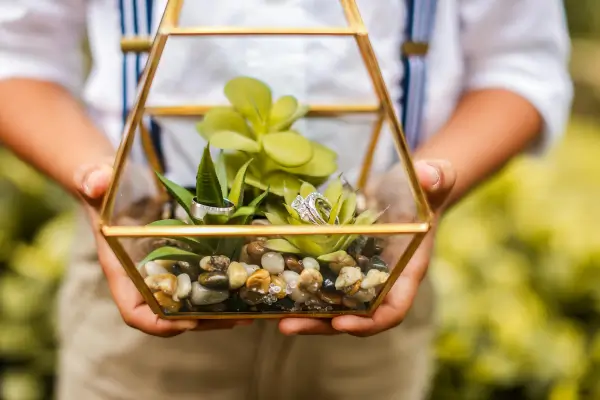 Um terrário é uma solução prática, elegante e cheia de personalidade para trazer a natureza para dentro de casa, mesmo em espaços pequenos.