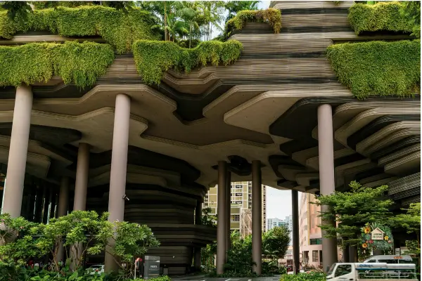 A sustentabilidade e a modernidade trazida pelo jardim vertical em ambientes externos, nos dias atuais, está conquistando espaço no paisagismo.