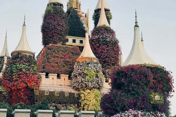 A sustentabilidade e a modernidade trazida pelo jardim vertical em ambientes externos, nos dias atuais, está conquistando espaço no paisagismo.