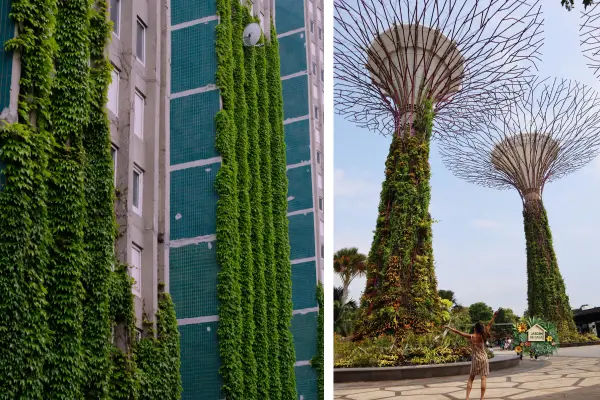 A sustentabilidade e a modernidade trazida pelo jardim vertical em ambientes externos, nos dias atuais, está conquistando espaço no paisagismo.