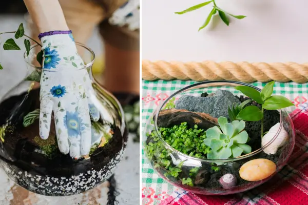 Um terrário é uma solução prática, elegante e cheia de personalidade para trazer a natureza para dentro de casa, mesmo em espaços pequenos.