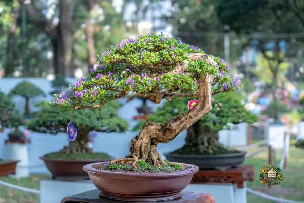 Quando e como podar árvores e arbustos no jardim será um guia para você reforçar o conhecimento, considerando que a poda é uma prática essencial.