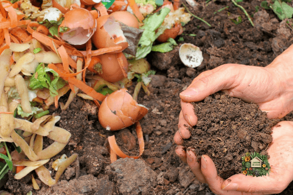 Você descobrirá os melhores fertilizantes naturais para hortas orgânicas, como aplicá-los corretamente