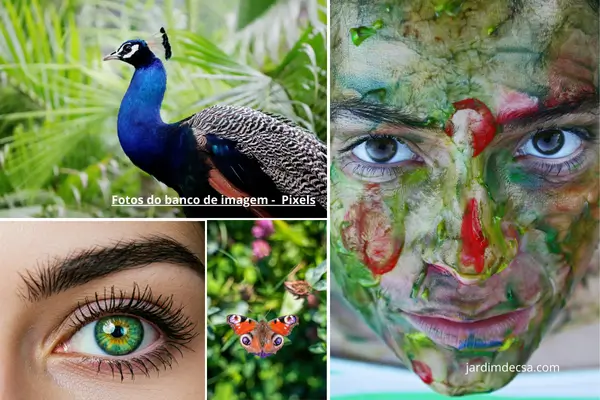 Para garantir um espaço equilibrado, é importante usar uma combinação de cores neutras e acentuadas.