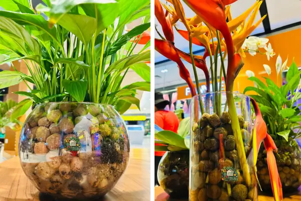 Descubra como vender plantas e vasos para decoração e transformar sua paixão por jardinagem em um negócio lucrativo. Dicas práticas...