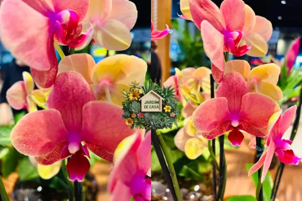 Descubra como vender plantas e vasos para decoração e transformar sua paixão por jardinagem em um negócio lucrativo. Dicas práticas...