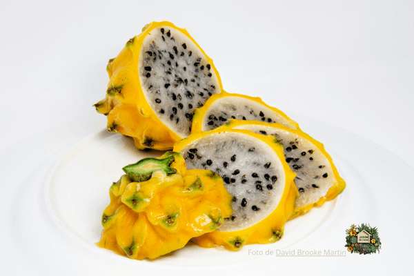 Com diferentes cores e sabores, a pitaya pode ser consumida fresca, em sucos, sobremesas e receitas diversas.