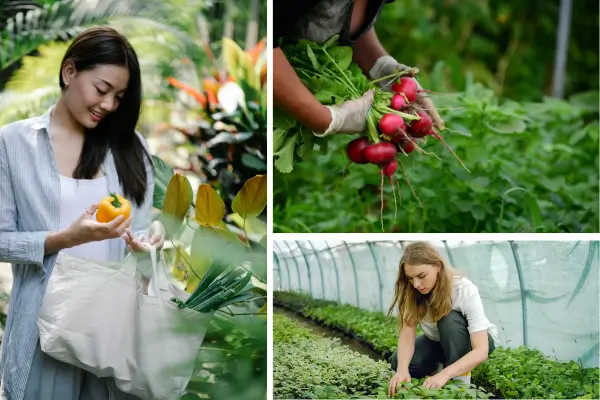Descubra como criar um jardim sustentável com princípios da permacultura., economize recursos e aumente a biodiversidade no mundo!