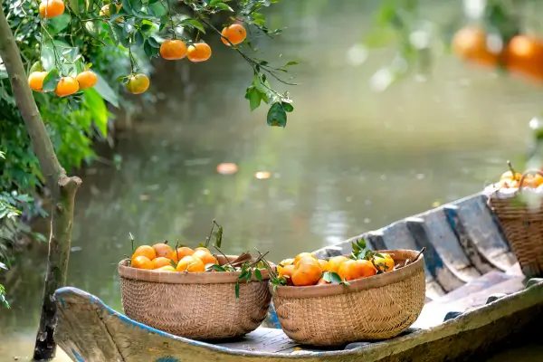 Descubra como criar um jardim sustentável com princípios da permacultura., economize recursos e aumente a biodiversidade no mundo!