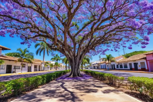 Plante a Moça Bonita no Seu Jardim: Como Cultivar o Manacá da Serra em Vasos e Canteiros