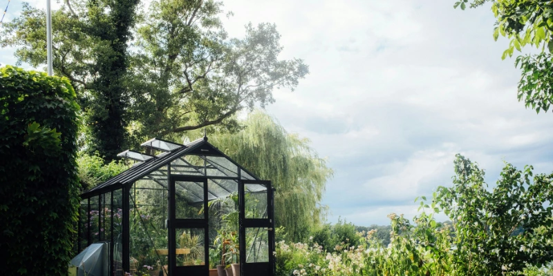 Aprenda como montar uma mini estufa em casa e transformar plantas em renda com baixo custo e muita criatividade. É fácil de fazer nesse Guia!