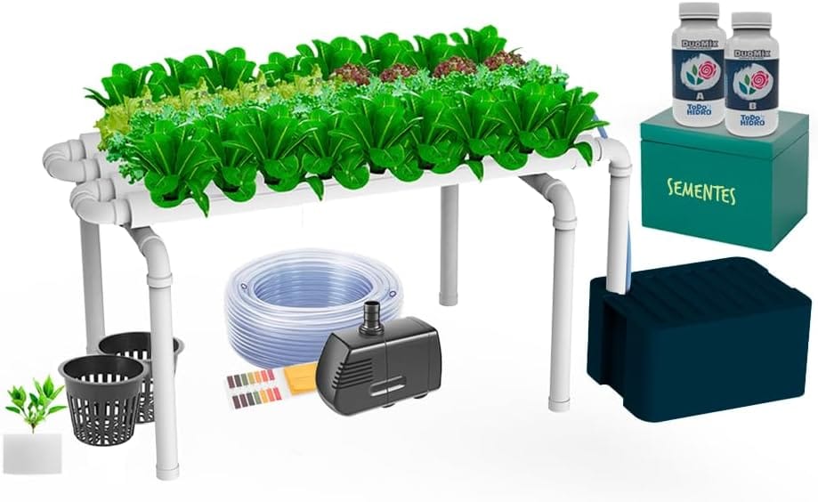 Descubra como plantar, colher e lucrar com a chia. Veja dados de mercado no Brasil e no mundo e entenda por que essa semente é um ótimo investimento.
