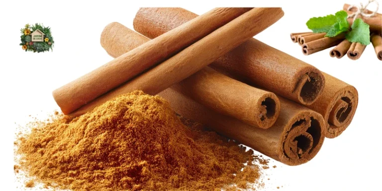 Canela nas Plantas: Como Usar para Proteger e Fortalecer Seu Jardim 9 Se busca uma solução simples para combater fungos, estimular raízes e fortalecer vsuas plantas em vasos? A Canela pode ser uma solução. Veja!