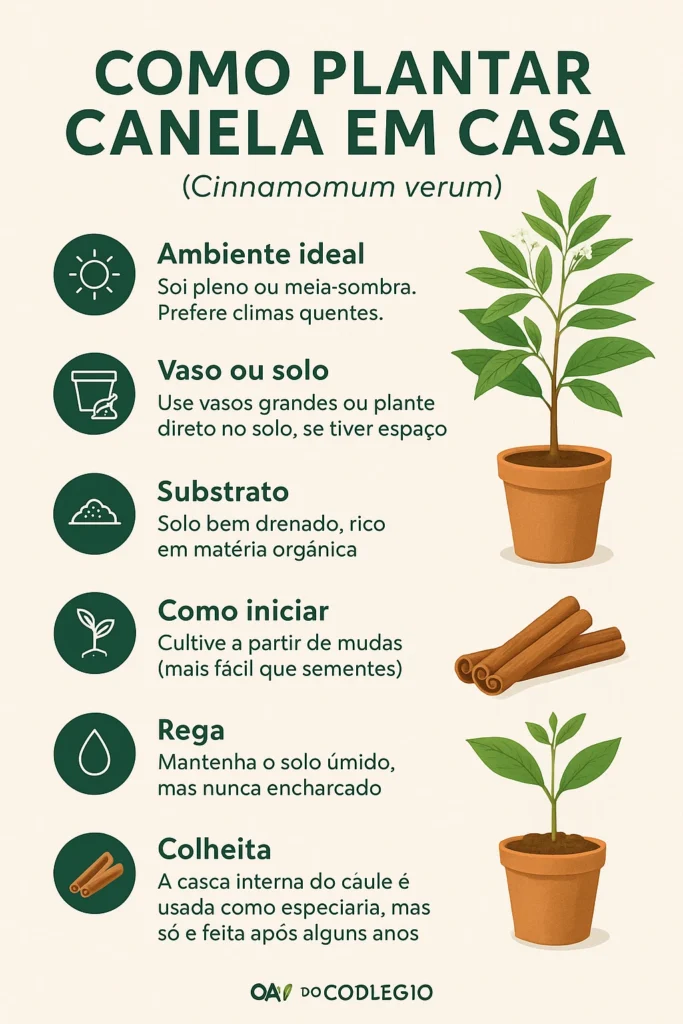 Descubra as principais plantas medicinais para diabetes e como elas podem ajudar no controle da glicose naturalmente. Veja como usar com segurança!