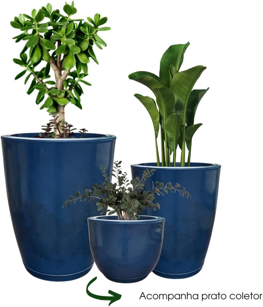 Descubra 35 plantas que amam sol e que florescem com horas de luz — dicas reais para seu quintal ou varanda ensolarada.