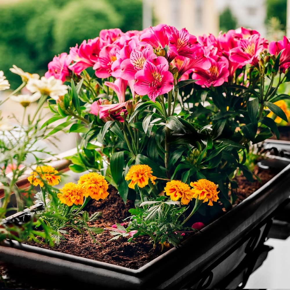 Vaso Jardineira Plástico Horta Preta Retangular