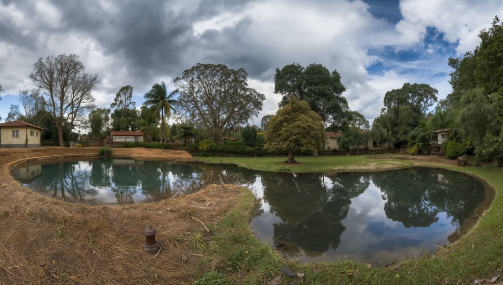 Aprenda a fazer um jardim de chuva: solução paisagística para quintais que alagam. Passo a passo, plantas indicadas e como lucrar com o serviço.
